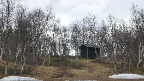 Strong wind shakes bare trees around a small wooden cabin in the forest Stock Footage 318196659