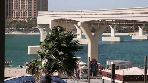Strong wind shakes a palm tree in Dubai, slow motion Stock Footage 235929588