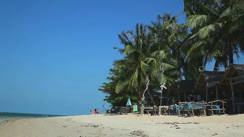 A strong wind shakes the palm trees. Tropical beach in Thailand Stock Footage 78032554
