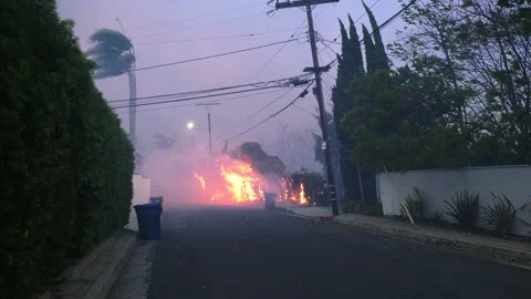 Strong wind spreading smoke and flames in Pacific Palisades of Los Angeles, USA Stock Footage 301750997