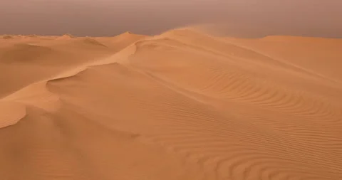 Strong wind at sunset over the sand dunes in the desert. Sandstorm in the Desert Stock Footage 168180667