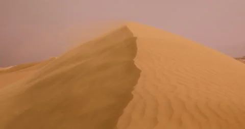 Strong wind at sunset over the sand dunes in the desert. Sandstorm in the Desert Stock Footage 205842347