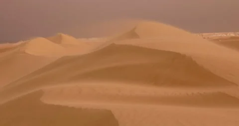 Strong wind at sunset over the sand dunes in the desert. Sandstorm in the Desert Stock Footage 205842348