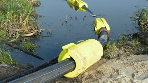 A strong wind sways the reed. Environmental problem Video stock 123966575