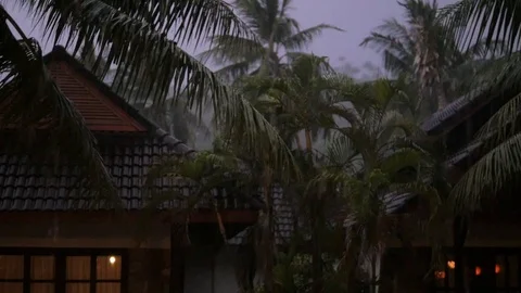 Strong winds and rain shook the trees in dark night. Tropical rain falling on Stock-Footage 127152168