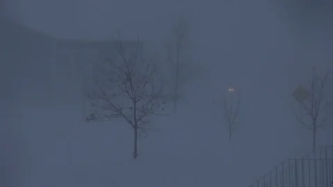Strong Winds and Snow blowing in a Suburban Neighborhood. Stock Footage 84077551