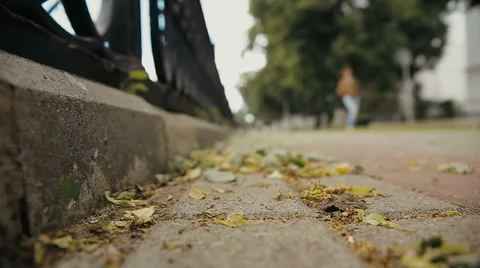 Strong winds in the city Stock-Footage 61083078