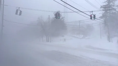 Strong Winds During Snowstorm Sway Traffic Lights and Trees Stock Footage 85282543