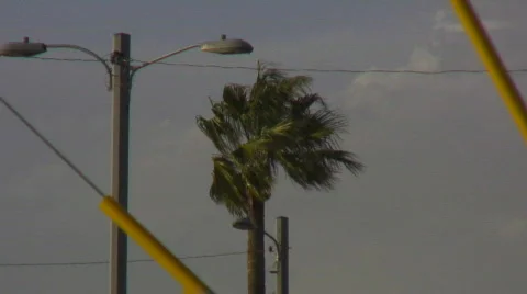 Strong winds Stock Footage