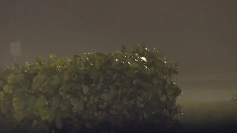 Strong Winds &amp; Heavy Rain During Hurricane Matthew Stock Footage 107043371