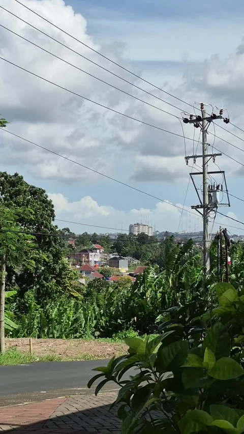 Strong winds move the leaves Stock Footage 326846276