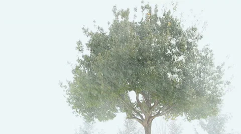 Strong winter blizzard. Stock Footage 34899057