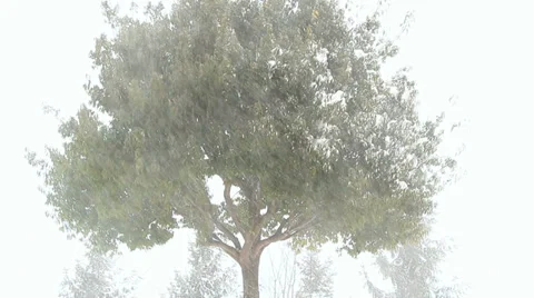 Strong winter blizzard. Stock Footage 34899461