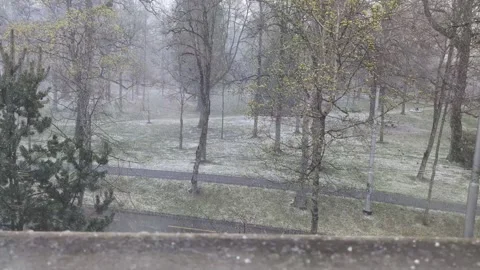 Strong winter storm in the forest, looking through the window pov 動画素材 334319829