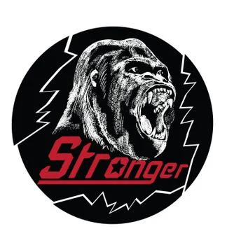 Stronger.Roaring gorilla.Vector illustration. Stock Illustration