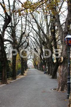 Strossmayer promenade, zagreb, croatia Stock Photos