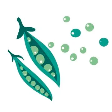 Strucki peas in flat style isolated on white background. Stock Illustration