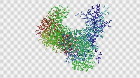 STRUCTURAL BASIS OF ASYMMETRY IN THE HUMAN IMMUNODEFICIENCY VIRUS TYPE 1 Stock Footage 156949575