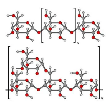 Structural chemical components of starch: amylose, pectin Stock Illustration