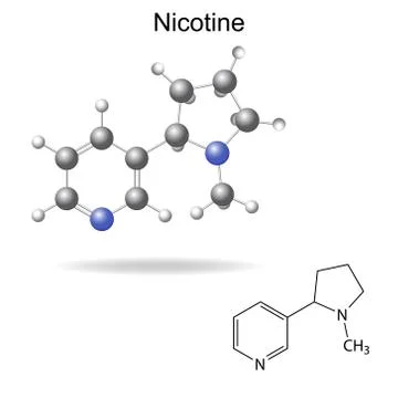 Structural chemical formula and model of  nicotine Stock Illustration