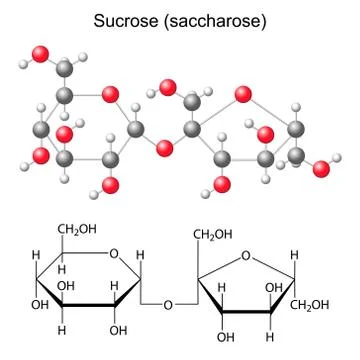 Structural chemical formula and model of sucrose Illustrazione stock