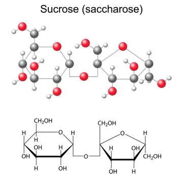 Structural chemical formula and model of sucrose Illustrazione stock