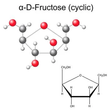 Structural chemical formula and model of fructose Stock Illustration