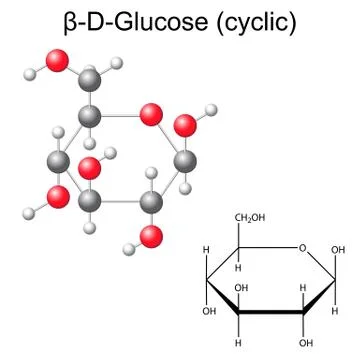 Structural chemical formula and model of beta-D-glucose Stock Illustration