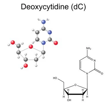 Structural chemical formula and model of deoxycytidine Иллюстрация