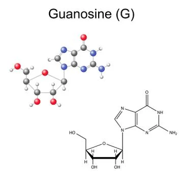 Structural chemical formula and model of guanosine Illustrazione stock