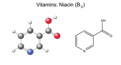Structural chemical formula and model of niacin (nicotinic acid) vitamin Illustrazione stock
