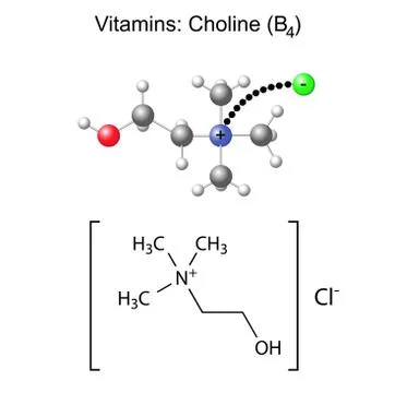 Structural chemical formula and model of vitamin choline - b4 Ilustración de archivo