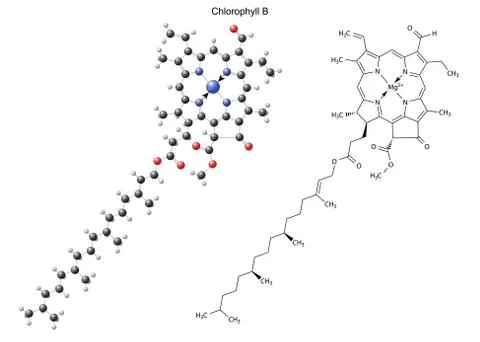 Structural chemical formula and model of chlorophyll B Illustrazione stock
