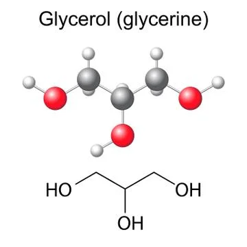 Structural chemical formula and model of glycerol molecule Stock Illustration