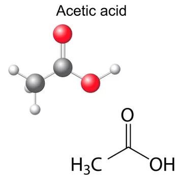 Structural chemical formula and model of acetic acid Stock Illustration