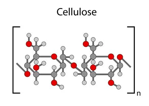 Structural chemical formula of cellulose polymer Stock-Illustration