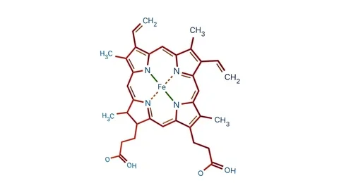 Structural chemical formula of Heme molecule animating over white background Stock Footage 107834523