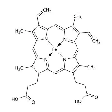 Structural chemical formula of  heme molecule Stock Illustration