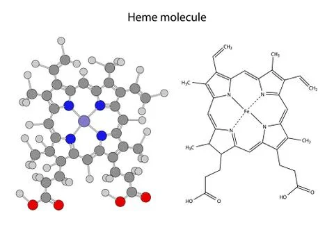 Structural chemical formula of  heme molecule Stock Illustration