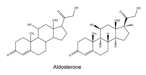 Structural chemical formulas of aldosterone Stock Illustration