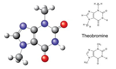 Structural chemical formulas and model of theobromine molecule Stock Illustration