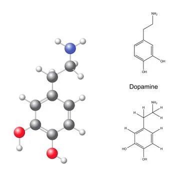 Structural chemical formulas and model of dopamine Stock Illustration