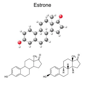 Structural chemical formulas and model of estrone molecule Stock Illustration
