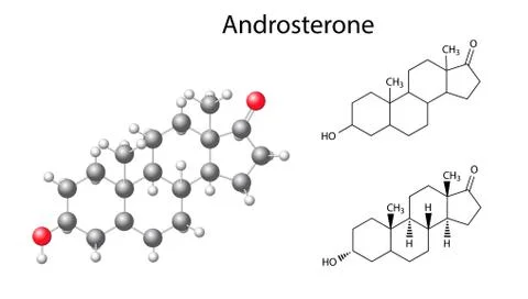 Structural chemical formulas and model of androsterone molecule Stock Illustration