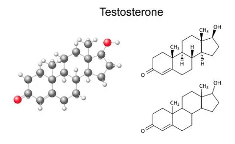 Structural chemical formulas and model of testosterone molecule Stock Illustration