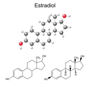 Structural chemical formulas and model of estradiol molecule Ilustración de archivo