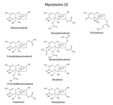 Structural chemical formulas of B-type mycotoxins Stock Illustration