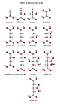 Structural chemical formulas of basic bioorganic acids (rounds and sticks) Stock Illustration