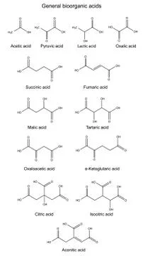 Structural chemical formulas of basic bioorganic acids Stock Illustration