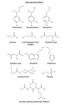 Structural chemical formulas of basic neurotransmitters Stock Illustration